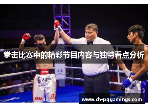 拳击比赛中的精彩节目内容与独特看点分析