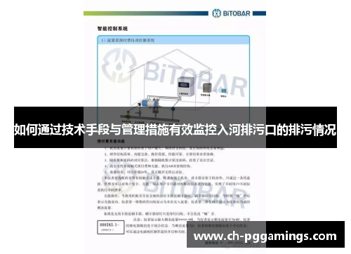 如何通过技术手段与管理措施有效监控入河排污口的排污情况