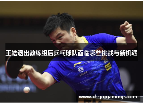 王皓退出教练组后乒乓球队面临哪些挑战与新机遇