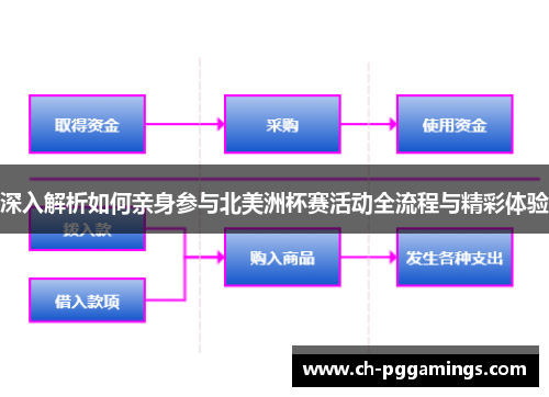 深入解析如何亲身参与北美洲杯赛活动全流程与精彩体验